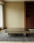 Coffee Table DT